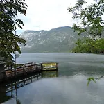 Rozic Bohinj