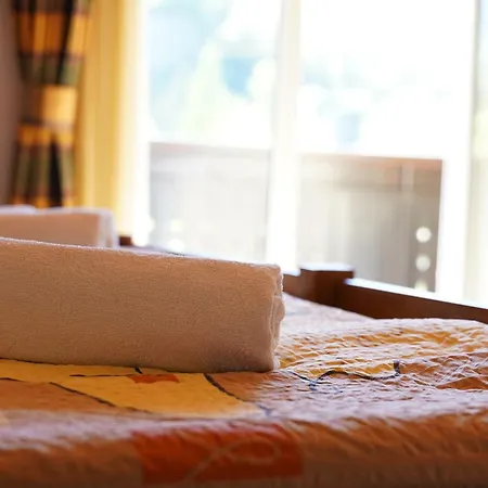 Bed and breakfast Rozic