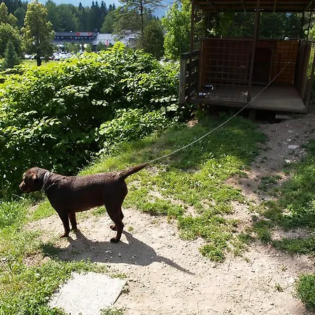 Rozic