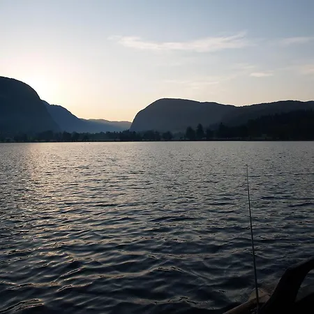 Rozic Bohinj