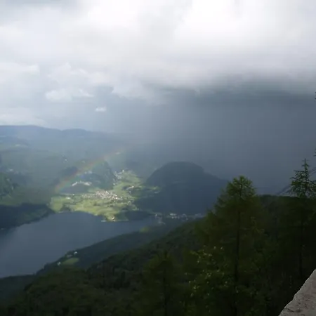 Rozic Bohinj
