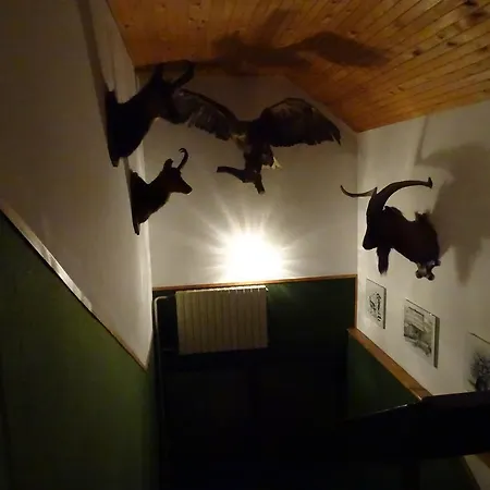 Bed and breakfast Rozic Bohinj