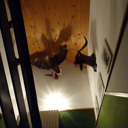 Bed and breakfast Rozic 3*