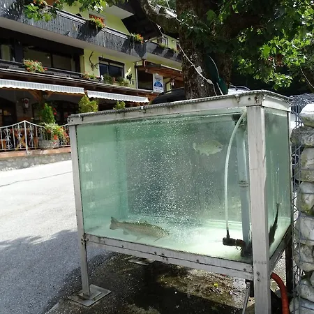 Bed and breakfast Rozic Bohinj