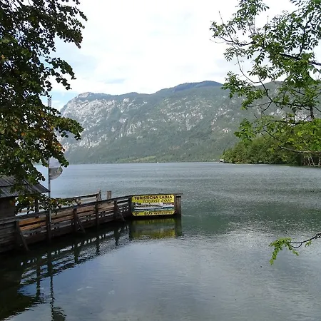 Rozic Bohinj