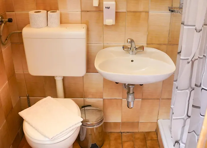 فندق مبيت وإفطار Rozic 3*