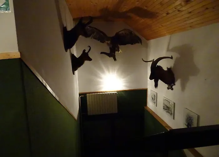 فندق مبيت وإفطار Rozic بوينج