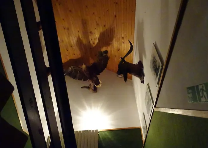 فندق مبيت وإفطار Rozic 3*