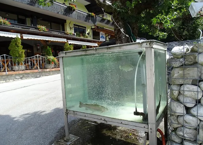 فندق مبيت وإفطار Rozic بوينج